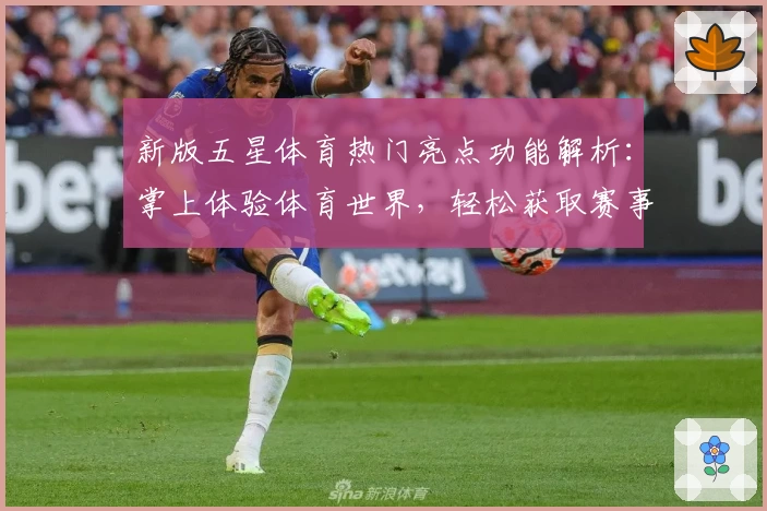 新版五星体育热门亮点功能解析：掌上体验体育世界，轻松获取赛事资讯