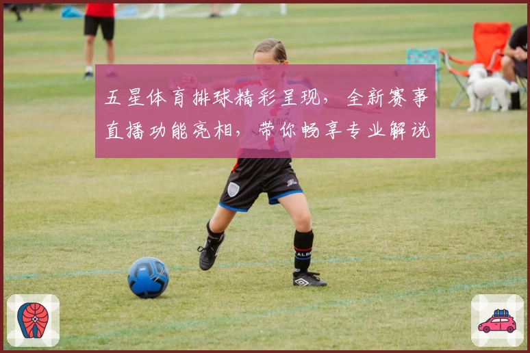 五星体育排球精彩呈现,全新赛事直播功能亮相,带你畅享专业解说与高清画质魅力