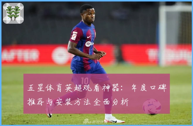 五星体育英超观看神器:年度口碑推荐与安装方法全面分析