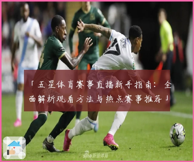 「五星体育赛事直播新手指南:全面解析观看方法与热点赛事推荐」